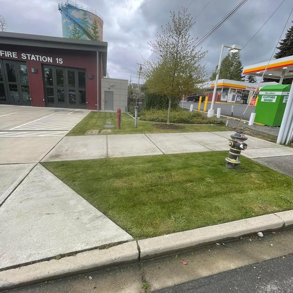 Professional landscape installation in Seattle, WA - Dreamer’s Landscaping