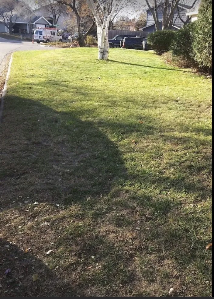 Local yard cleanup service in Minneapolis, MN - Dreamer’s Lawn Service