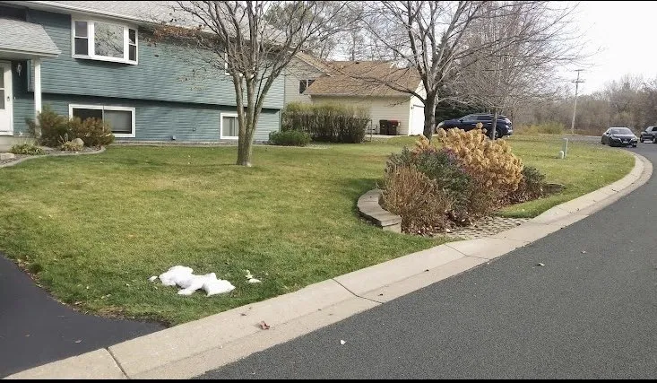 Reliable lawn care service in Minneapolis, MN - Dreamer’s Lawn Service