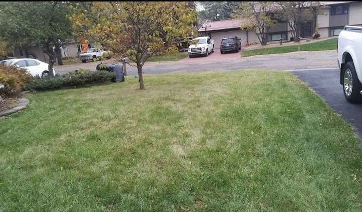 Affordable lawn care service in Minneapolis, MN by Dreamer’s Lawn Service