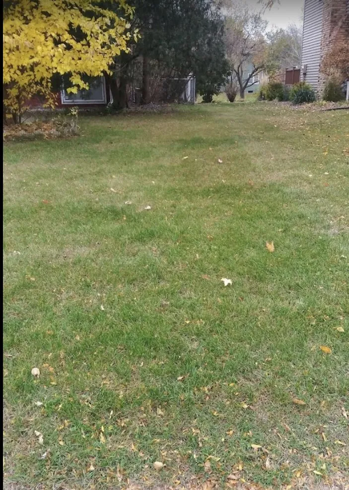 Affordable lawn mowing service in Minneapolis, MN by Dreamer’s Lawn Service