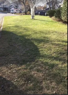 Dreamer’s Lawn Service Logo