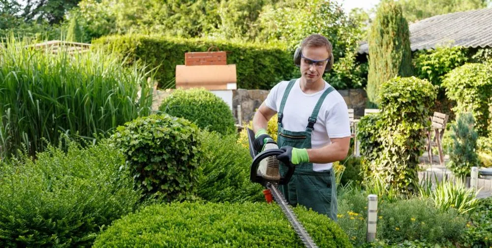 Expert yard cleanup service for year-round maintenance in Sevierville, TN by Dreamescapes Landscaping