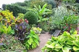 Local yard maintenance for outdoor upgrades across Sevierville, TN - Dreamescapes Landscaping