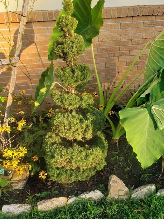 Trusted residential landscaping in Sevierville, TN - Dreamescapes Landscaping