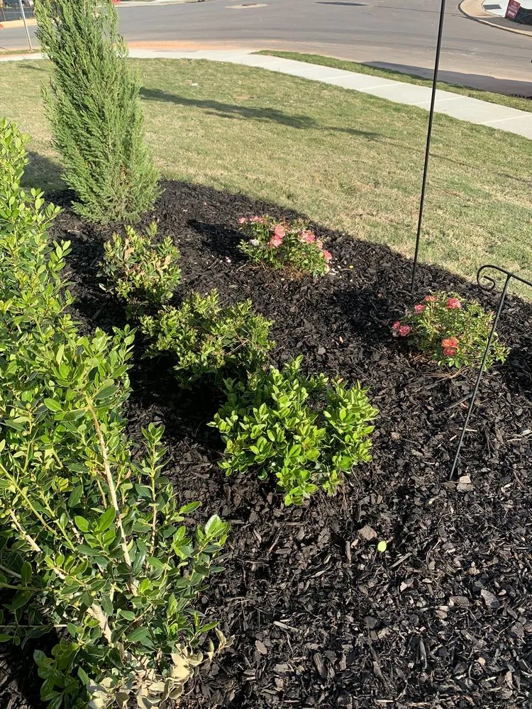 Custom lawn care service in Clayton, NC - Dreaming Tree Lawn Care