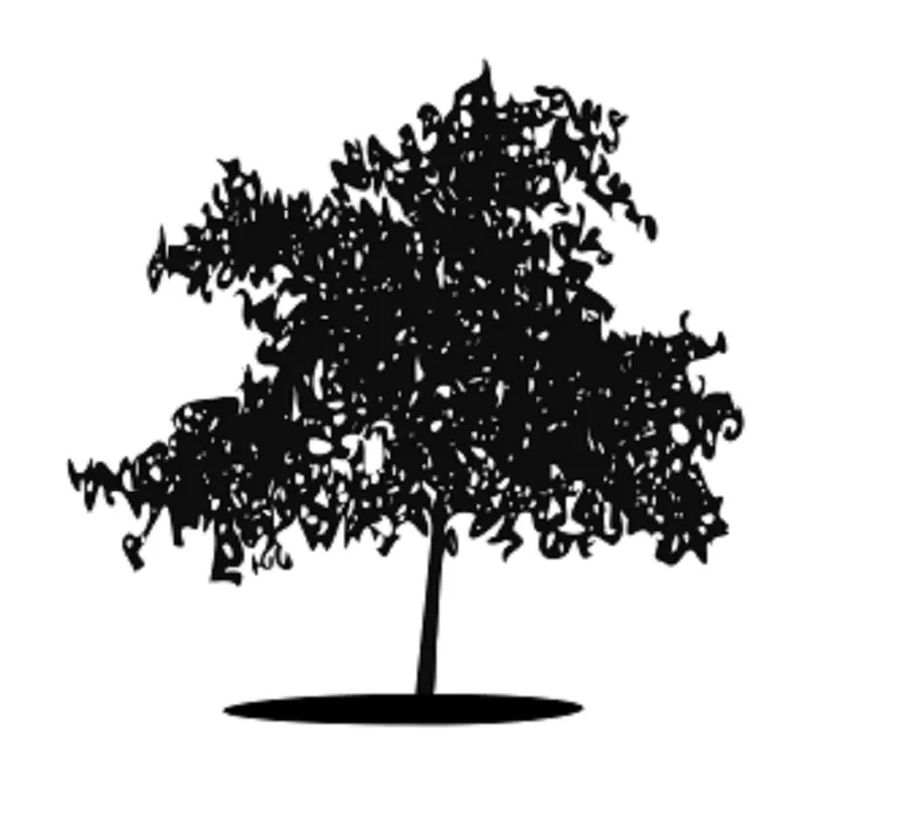 Expert yard maintenance experts serving Clayton, NC - Dreaming Tree Lawn Care