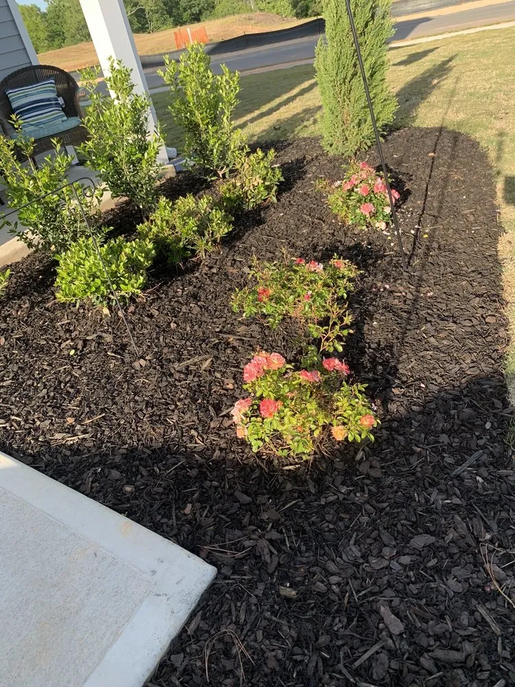 Local landscape design experts serving Clayton, NC - Dreaming Tree Lawn Care