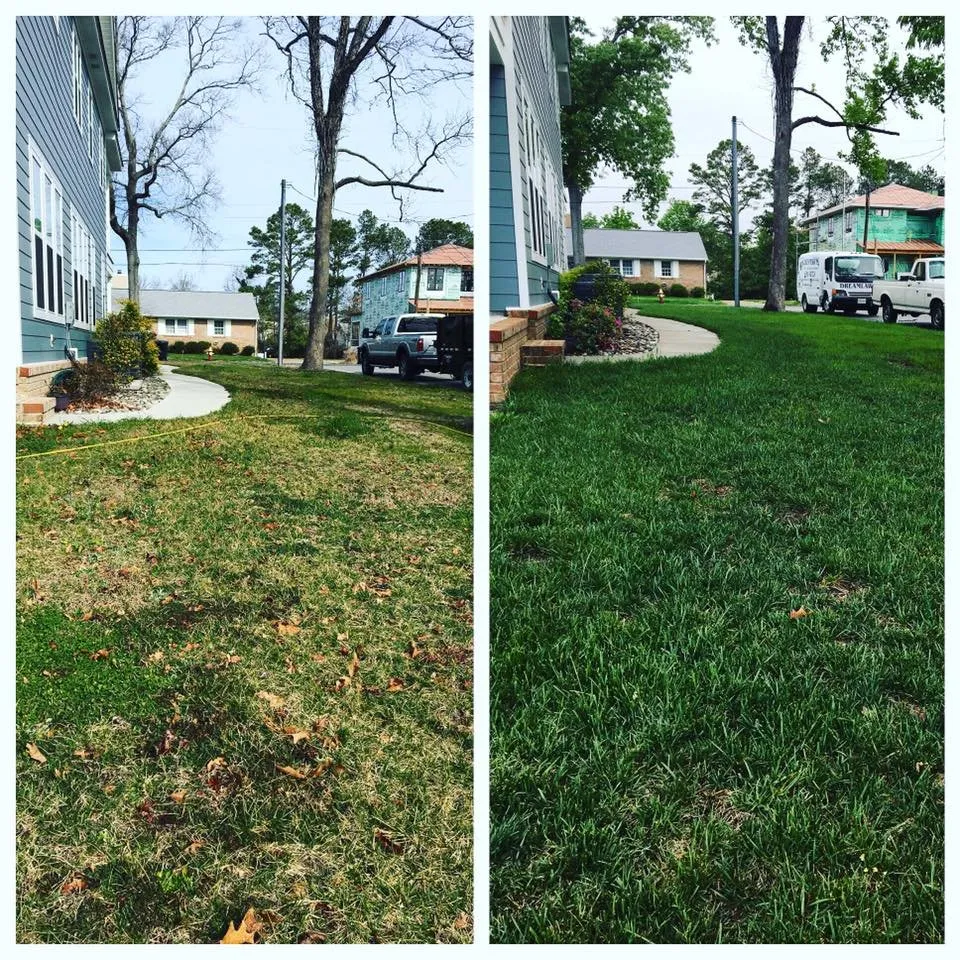 Professional landscape design in Virginia Beach, VA by Dreamlawns