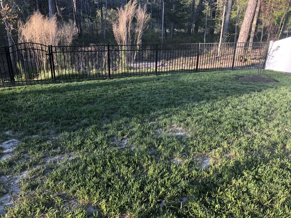 Trusted landscaping services in Virginia Beach, VA by Dreamlawns