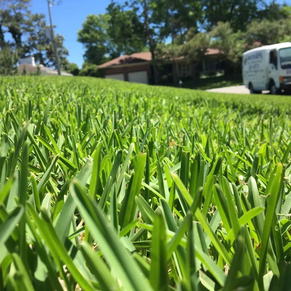 Trusted outdoor landscaping experts serving Virginia Beach, VA - Dreamlawns