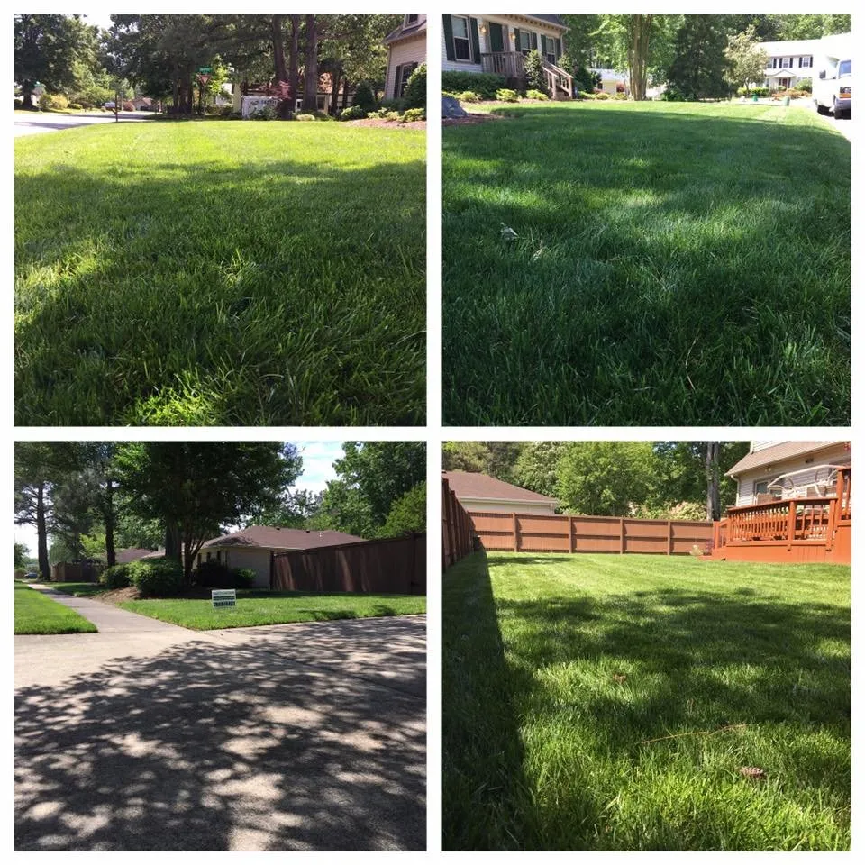 Reliable residential landscaping experts serving Virginia Beach, VA - Dreamlawns