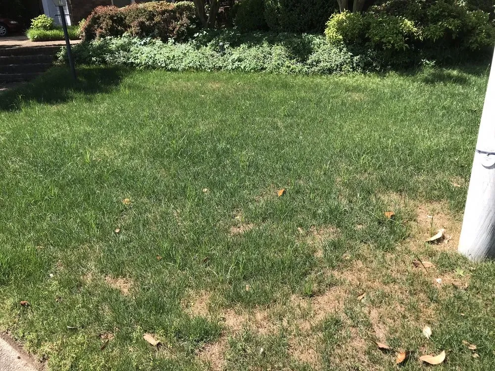 Affordable outdoor landscaping experts serving Virginia Beach, VA - Dreamlawns