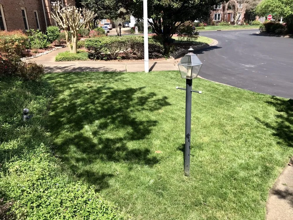 Expert lawn care service in Virginia Beach, VA by Dreamlawns