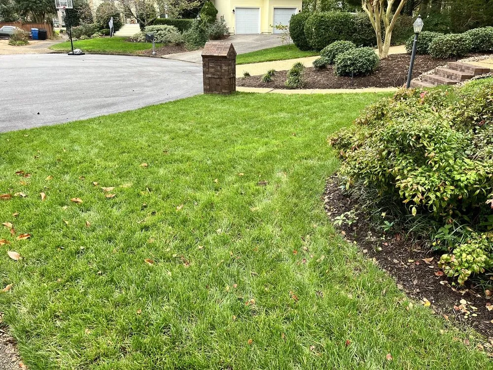 Custom lawn mowing service experts serving Virginia Beach, VA - Dreamlawns