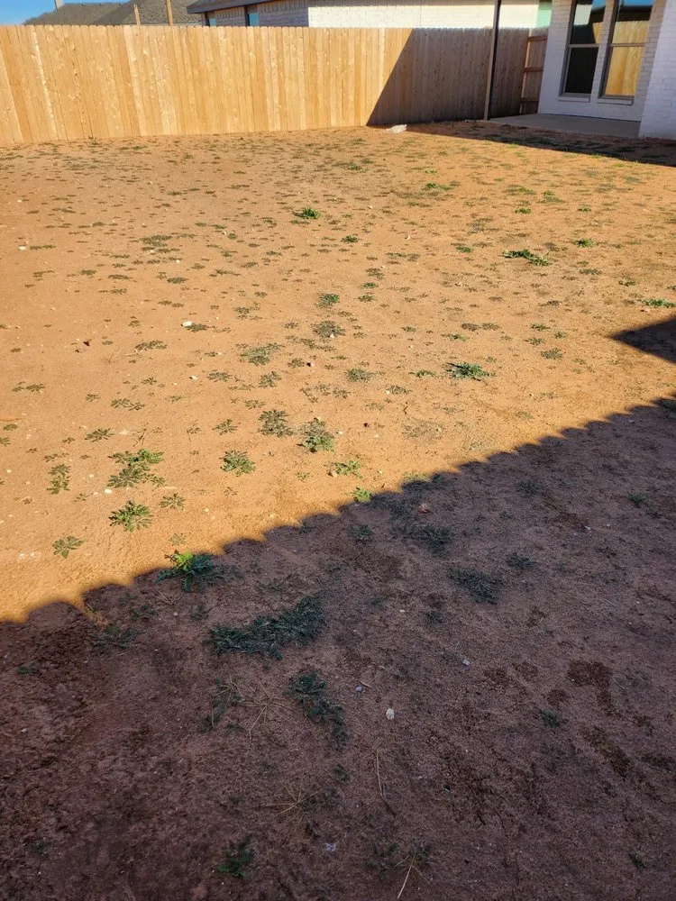 Custom landscape installation in Lubbock, TX - Dreams Come True Landscaping