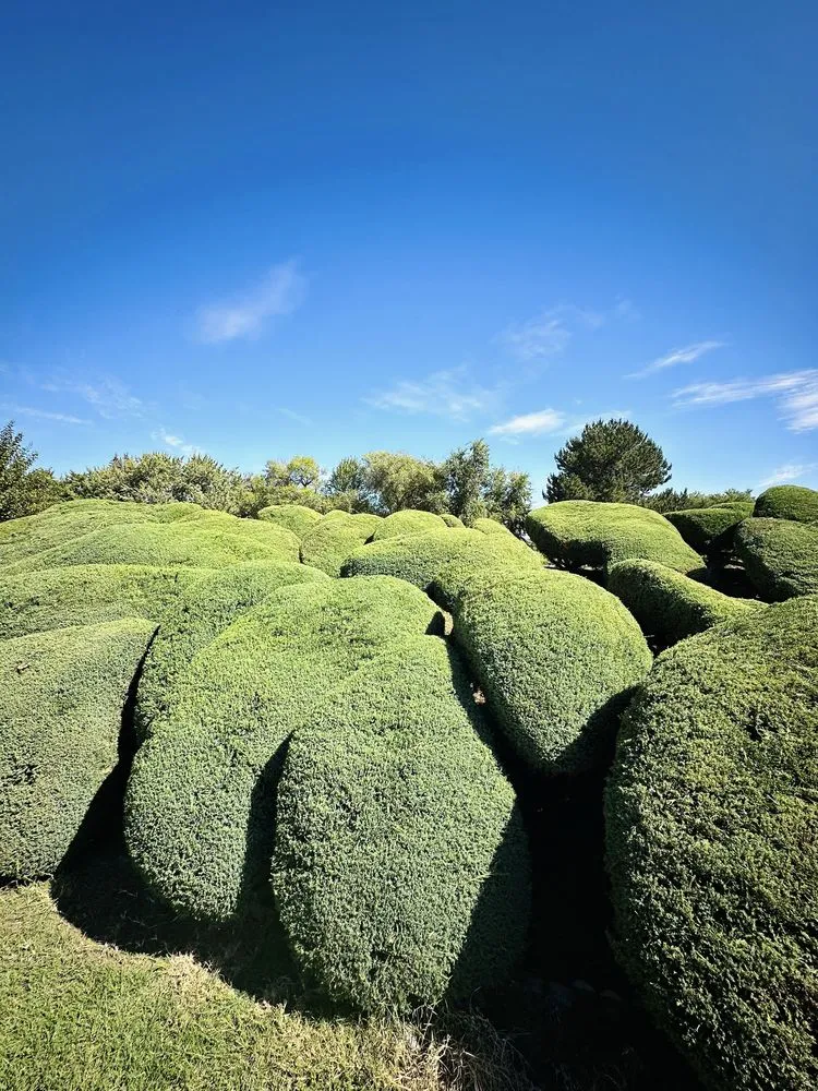 Professional lawn mowing service experts serving Kennewick, WA - Dream’s Landscape Management & Weed Control