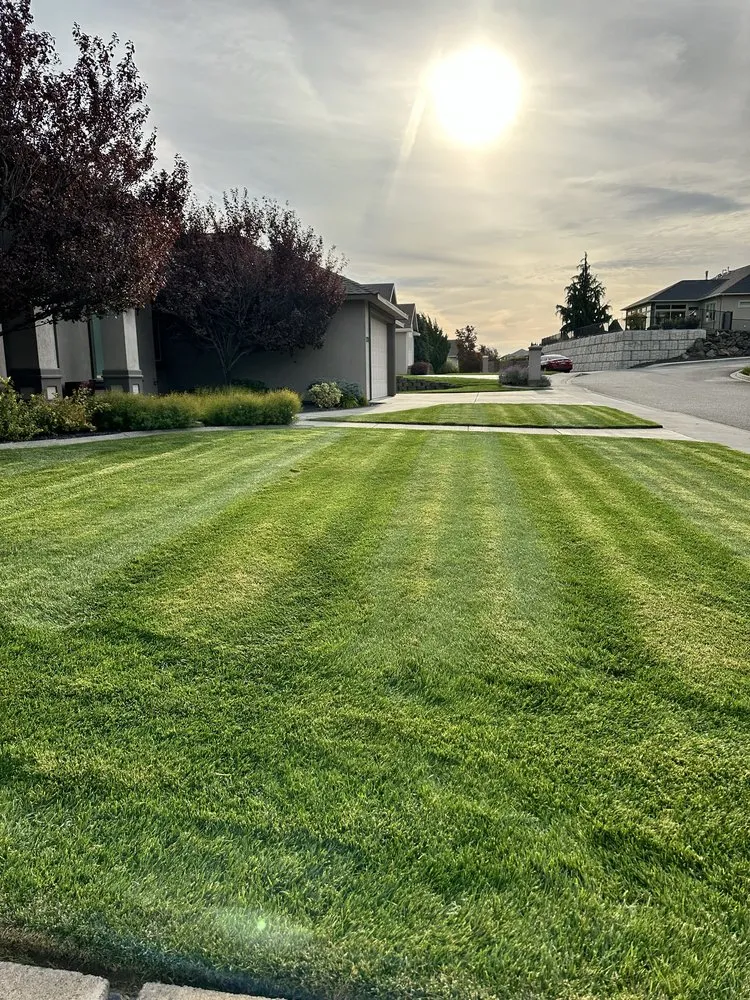 Expert lawn care service in Kennewick, WA - Dream’s Landscape Management & Weed Control