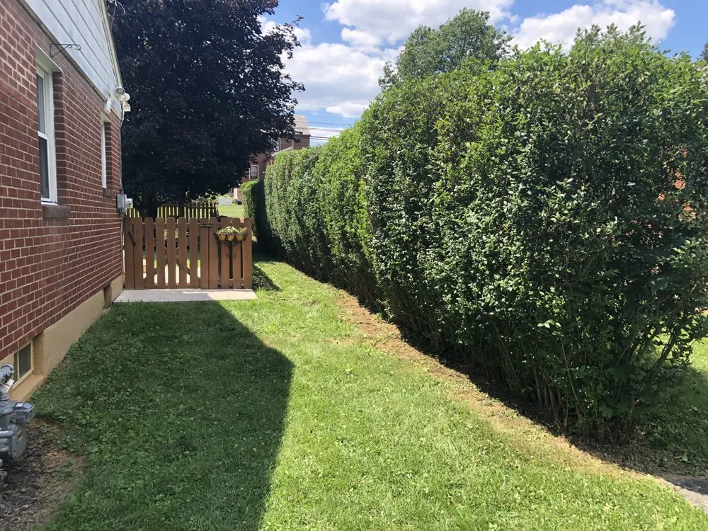 Custom garden landscaping for beautiful yards across Allentown, PA - Dreams Lawn Service