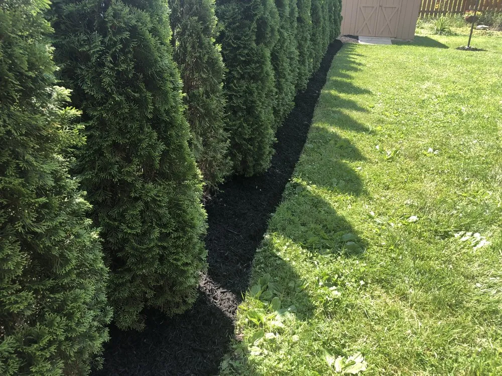 Expert landscape installation in Allentown, PA by Dreams Lawn Service