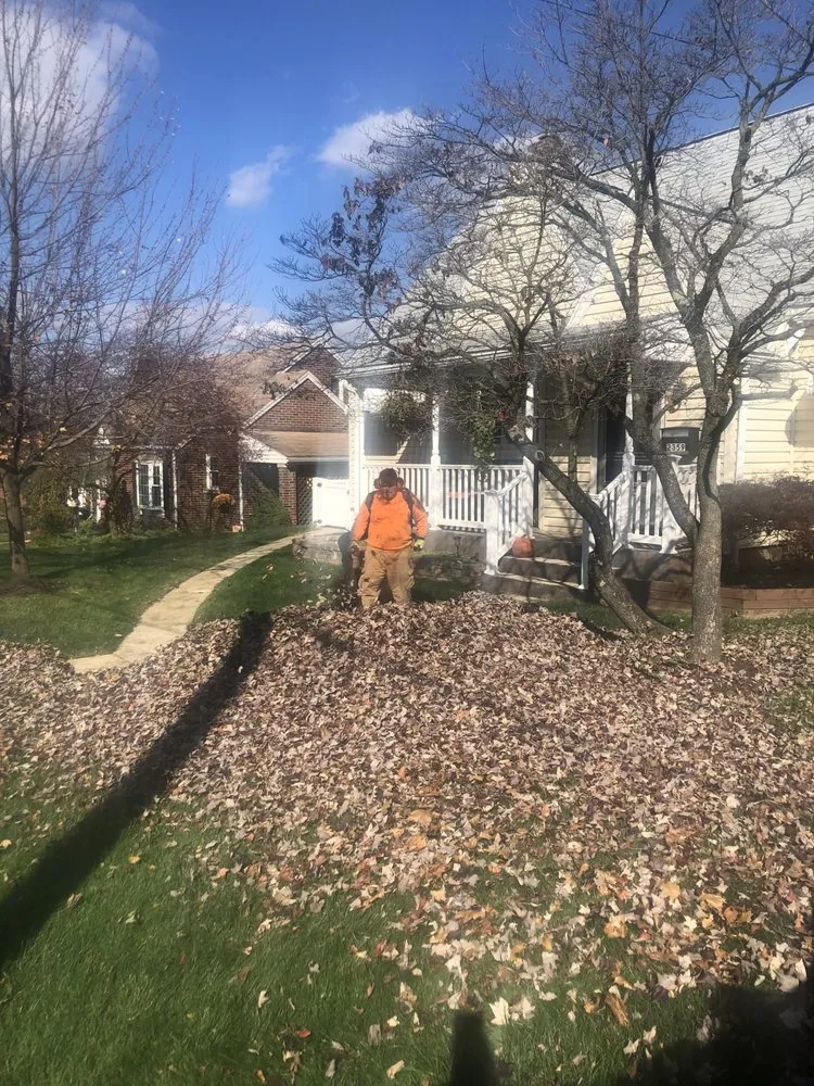 Custom landscape design in Allentown, PA by Dreams Lawn Service