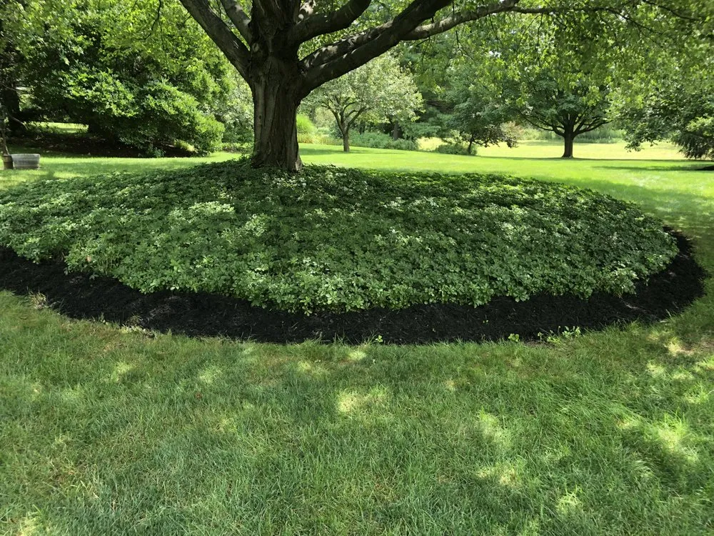 Custom lawn mowing service for beautiful yards in Allentown, PA by Dreams Lawn Service
