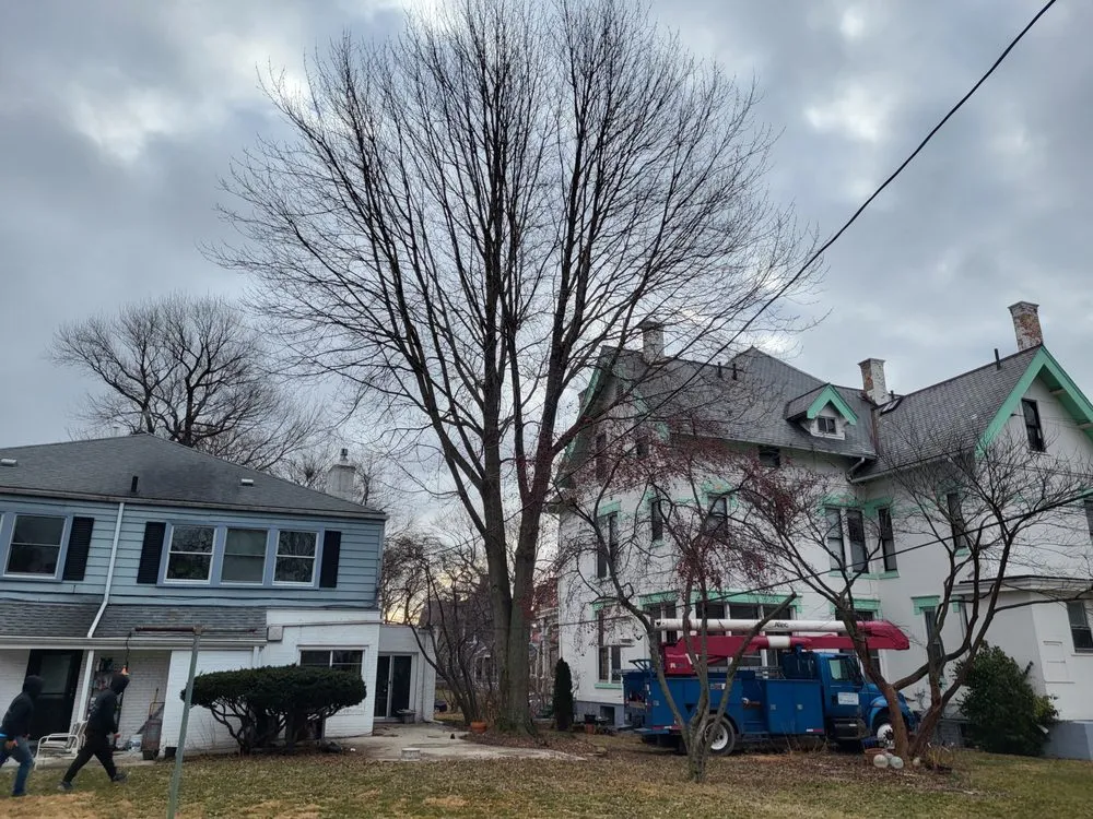 Local residential landscaping with custom design in Oregon, OH by Dreams Of Fields Landscaping