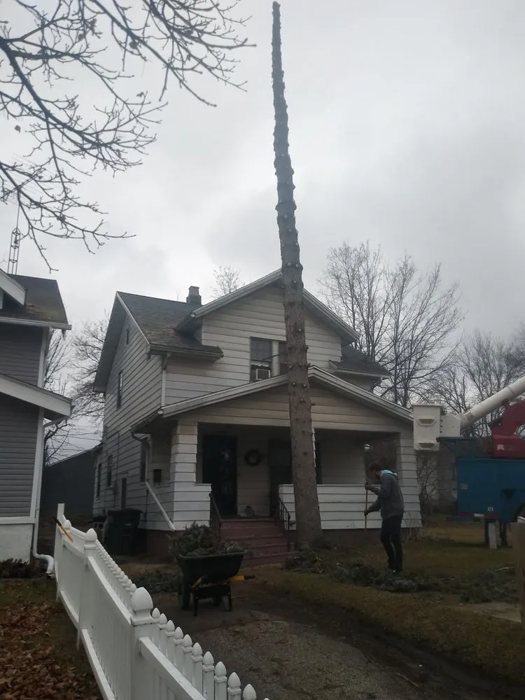 Trusted lawn care service with custom design in Oregon, OH by Dreams Of Fields Landscaping