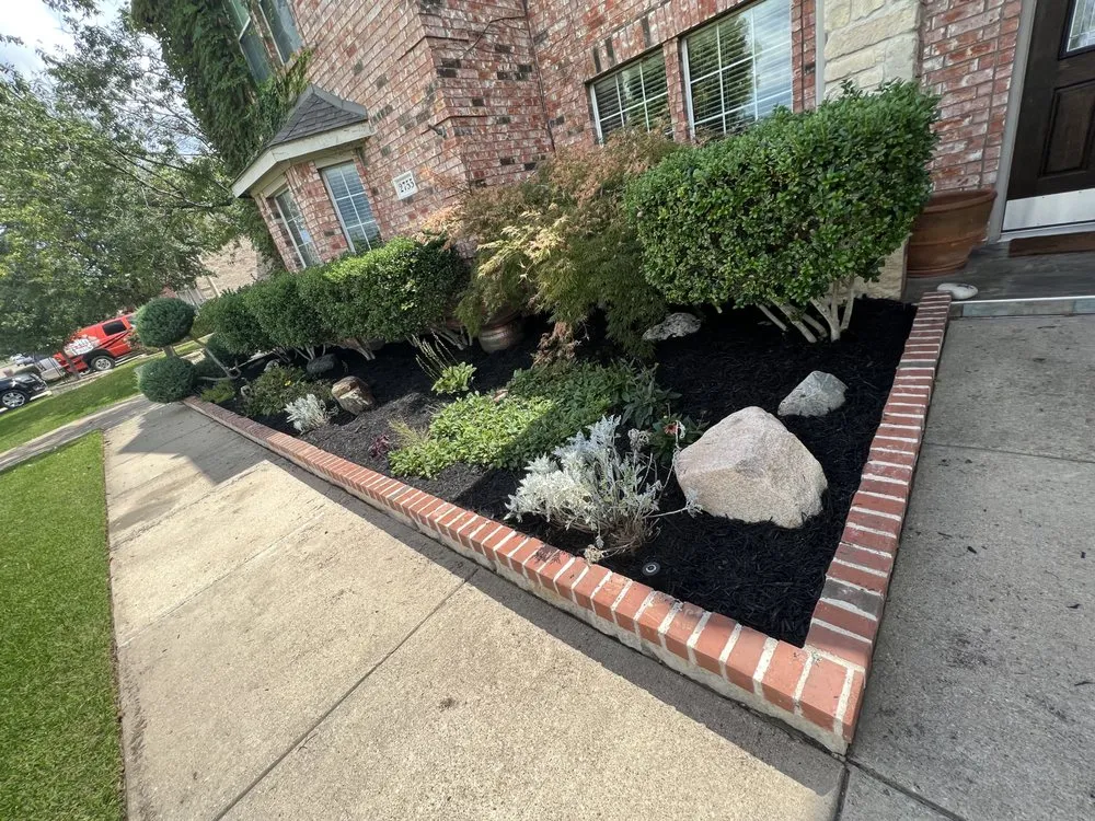 Expert lawn care service near you in Arlington, TX by Dreamscape