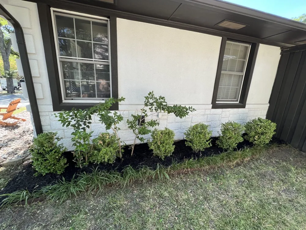 Professional landscape design in Arlington, TX by Dreamscape