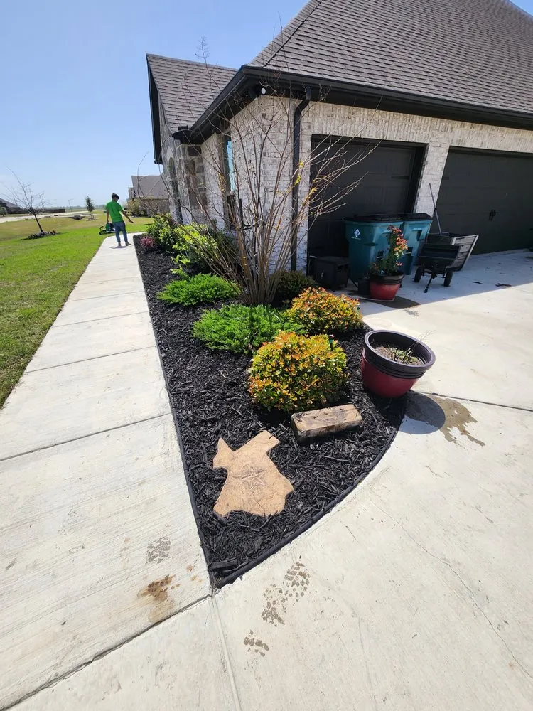 Expert landscape installation for year-round maintenance in Arlington, TX by Dreamscape
