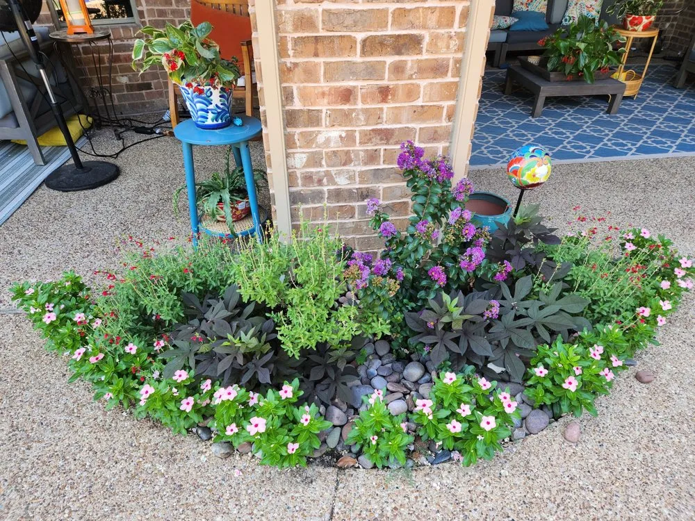 Trusted landscaping services for homes across Arlington, TX - Dreamscape