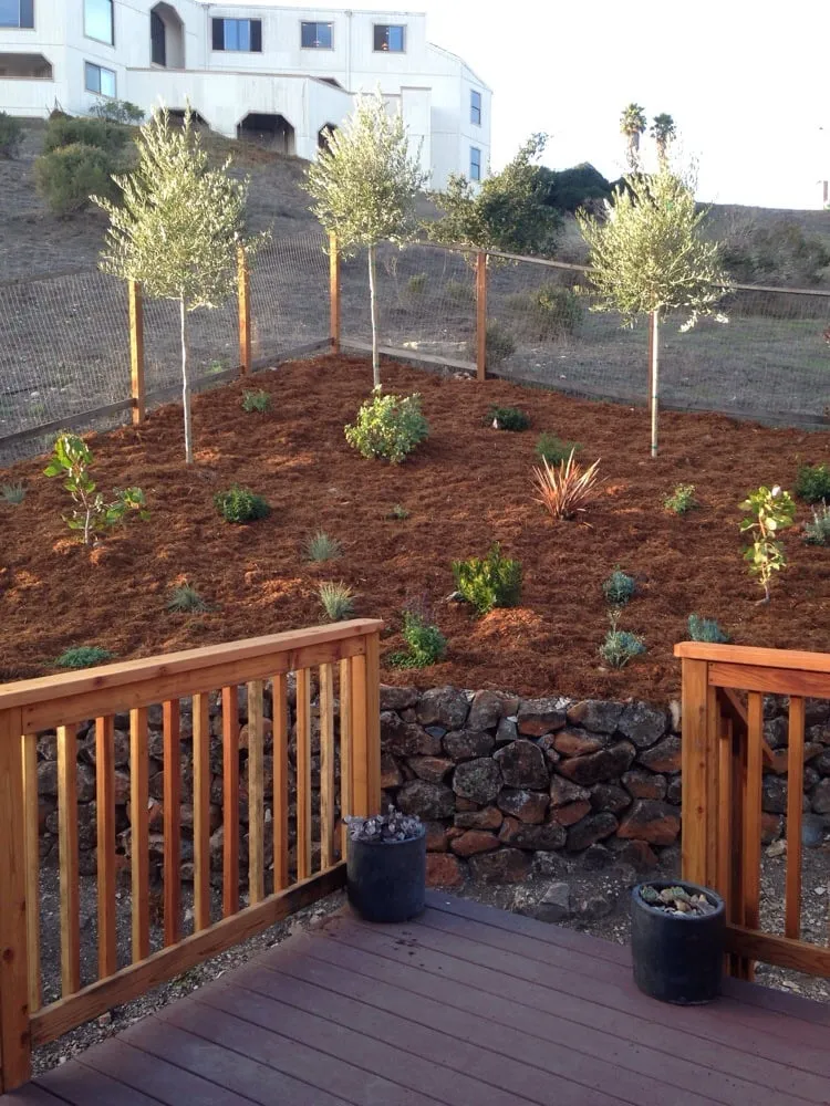Trusted yard cleanup service with custom design in Santa Cruz, CA by Dreamscape Creative Landscape Solutions
