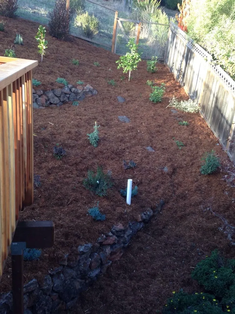 Expert outdoor landscaping in Santa Cruz, CA - Dreamscape Creative Landscape Solutions