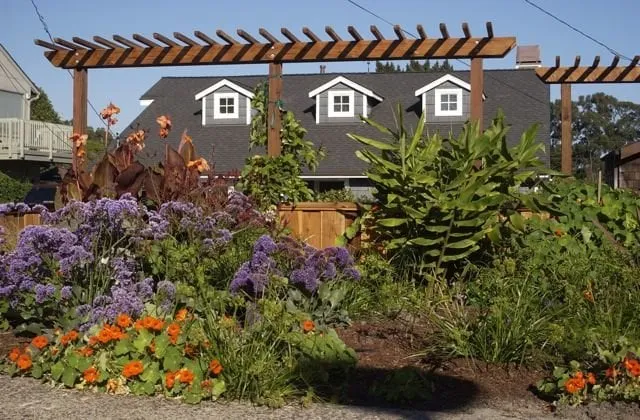 Trusted landscaping services in Santa Cruz, CA - Dreamscape Creative Landscape Solutions