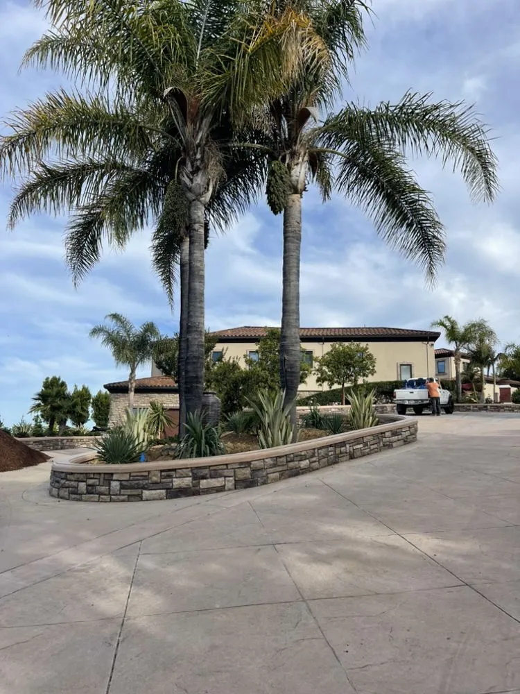 Custom lawn mowing service with custom design in Sunnyvale, CA by Dreamscape Design & Build