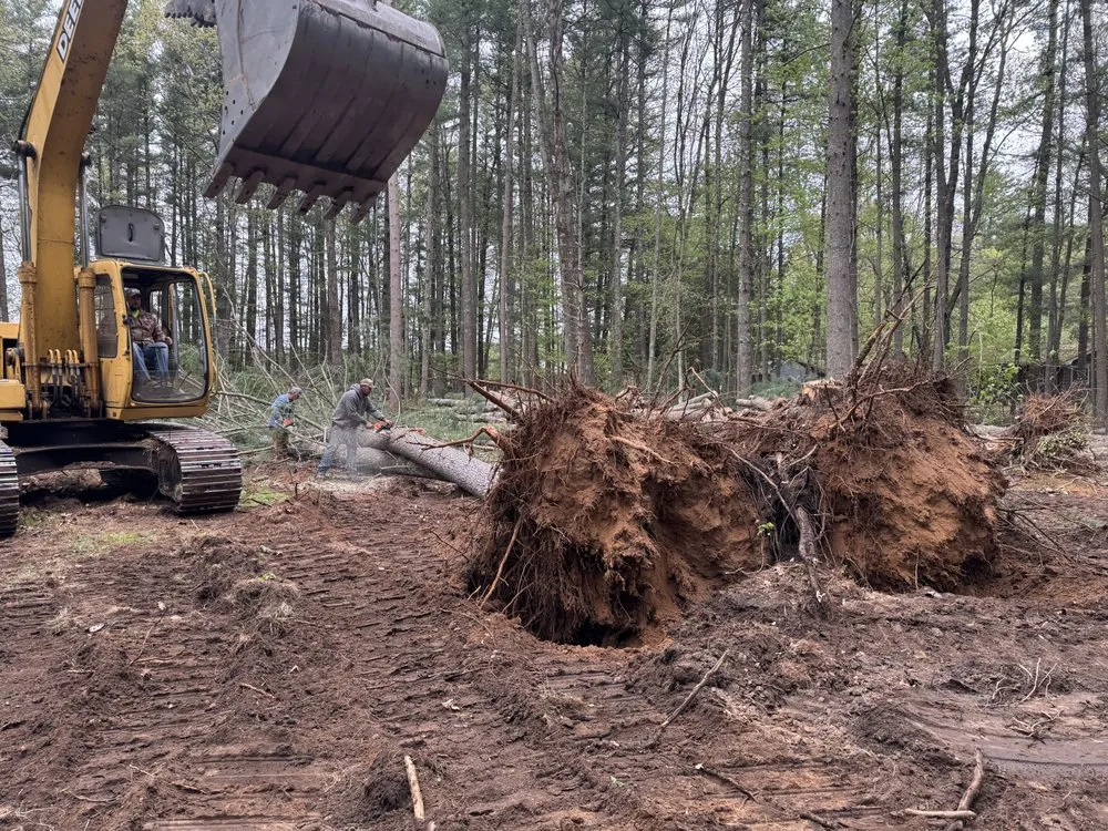 Top-rated lawn care service in Arbor Vitae, WI - Dreamscape Design