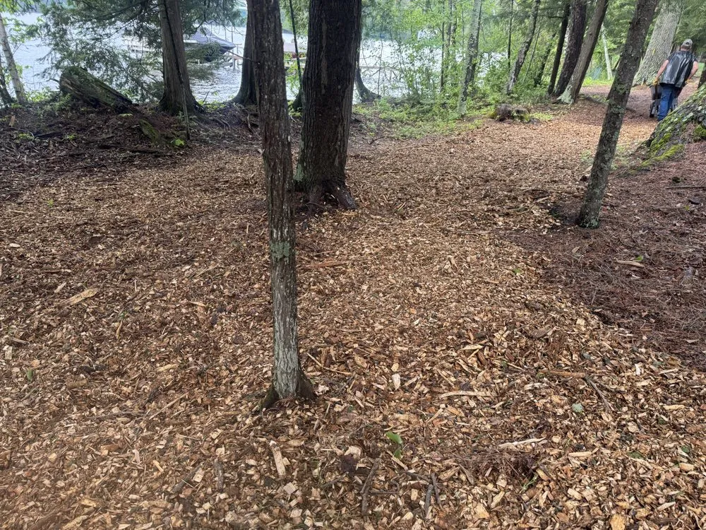 Affordable lawn mowing service in Arbor Vitae, WI by Dreamscape Design