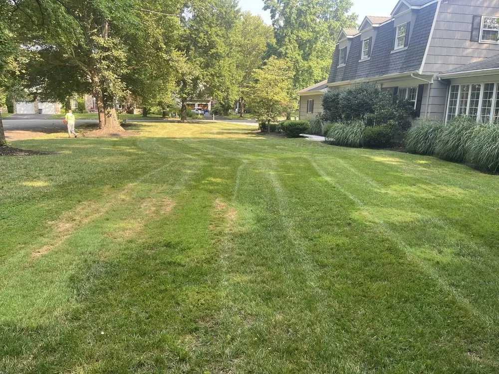 Reliable yard maintenance in Long Hill, NJ by Dreamscape Design