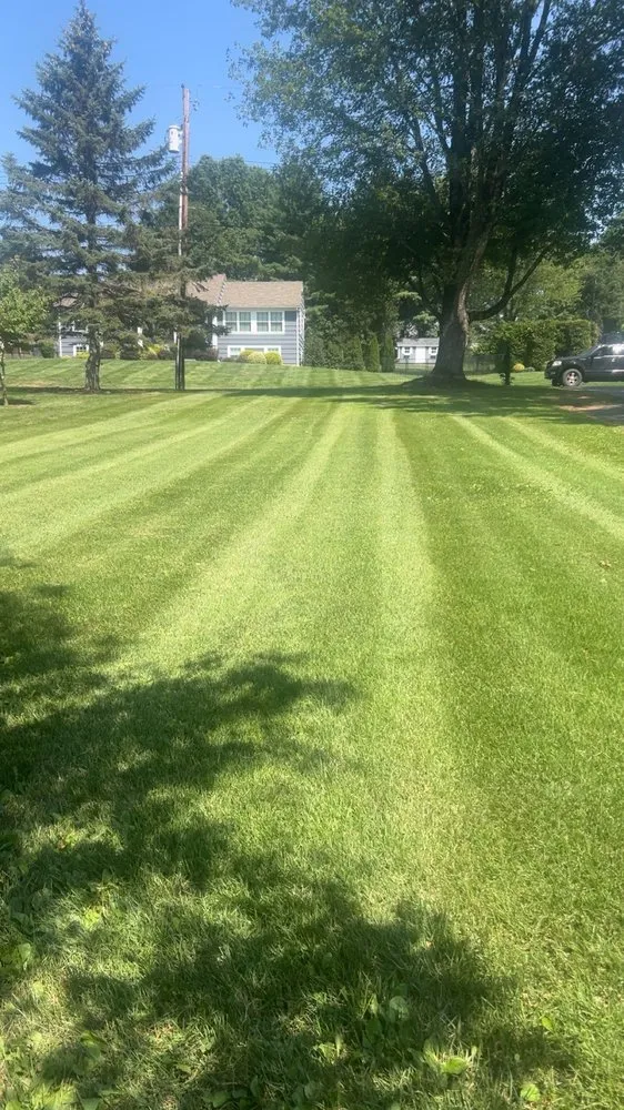 Affordable yard maintenance experts serving Long Hill, NJ - Dreamscape Design