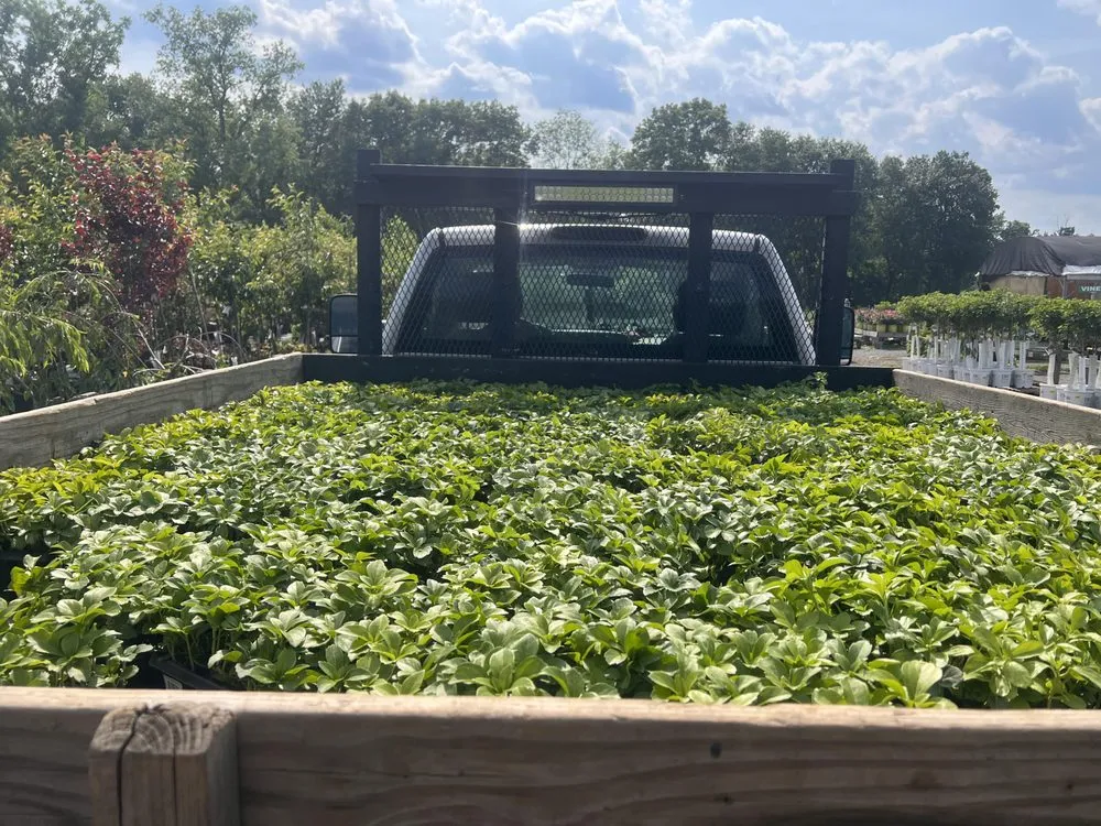 Custom residential landscaping experts serving Springfield, MA - Dreamscape Designs Landscaping