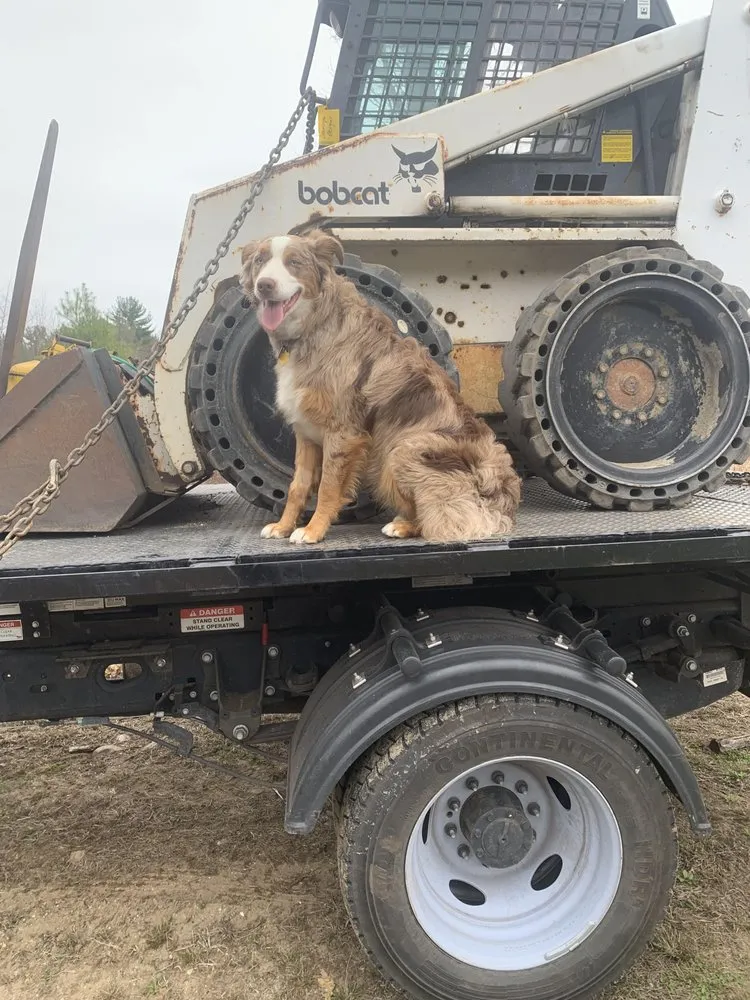 Reliable landscaping services for beautiful yards in Springfield, MA by Dreamscape Designs Landscaping