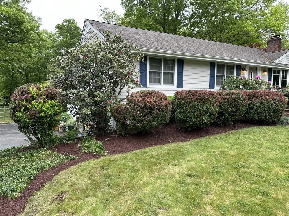 Top-rated lawn mowing service for beautiful yards across Rockaway, NJ - Dreamscape Home Services