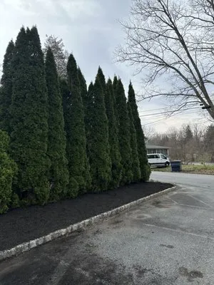 Dreamscape Home Services Logo