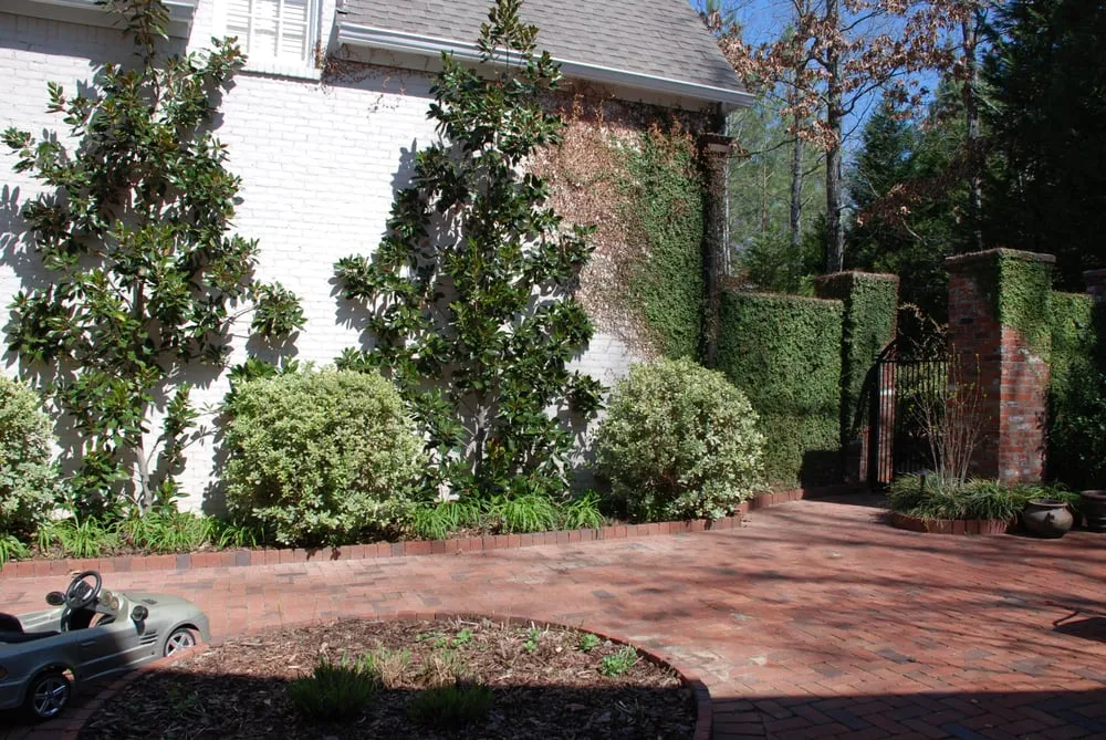 Top-rated yard cleanup service experts serving Chelsea, AL - Dreamscape Landscapes