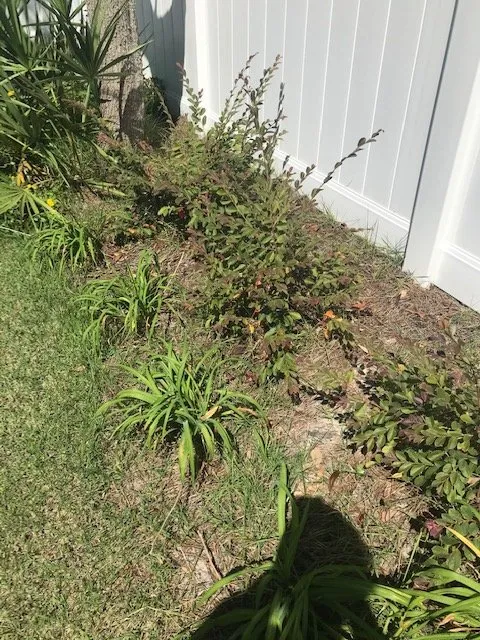 Affordable landscape design in Panama City, FL by Dreamscape Landscaping & Irrigation LLC