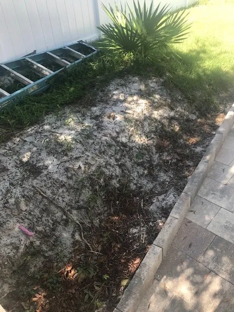 Reliable lawn care service in Panama City, FL by Dreamscape Landscaping & Irrigation LLC