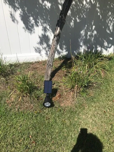 Trusted yard cleanup service in Panama City, FL by Dreamscape Landscaping & Irrigation LLC
