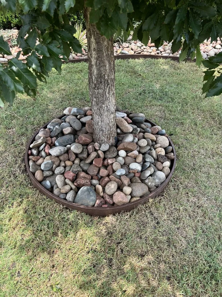 Local yard maintenance for year-round maintenance across Frisco, TX - Dreamscape Landscaping Designs