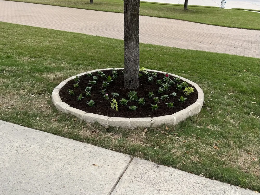 Affordable landscape installation in Frisco, TX - Dreamscape Landscaping Designs